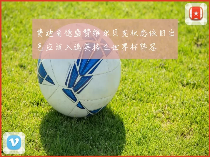 费迪南德盛赞维尔贝克状态依旧出色应该入选英格兰世界杯阵容