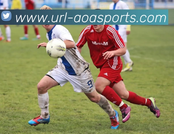 AOA体育平台生态图